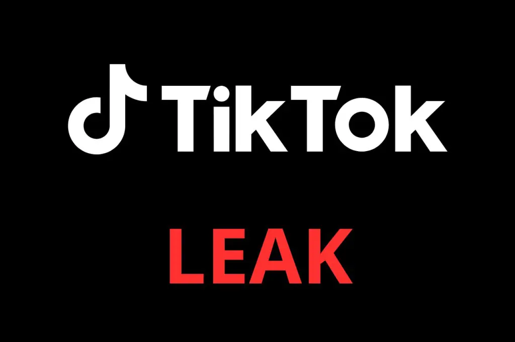TikTok leak : vidéos TikTok non censurées